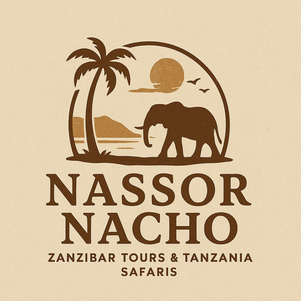 Nassor Nacho Tours logo